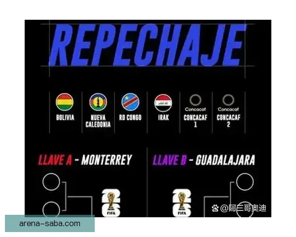 2026世界杯参赛球队完整名单及球员阵容分析与展望